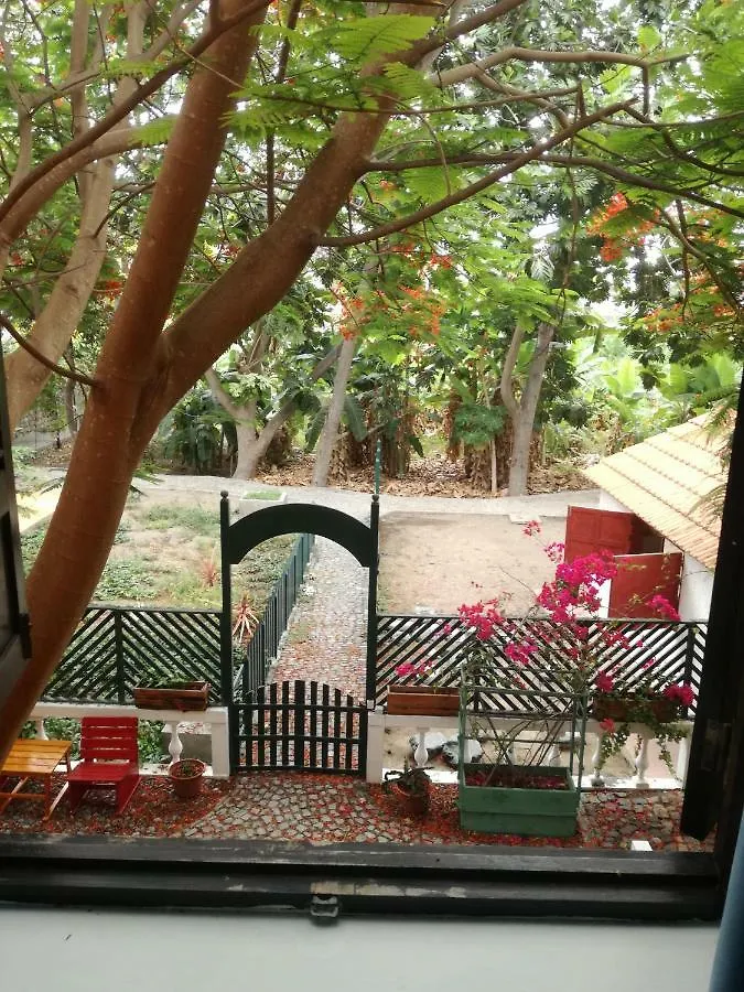 Aldeia Jerome Bed & Breakfast Paul